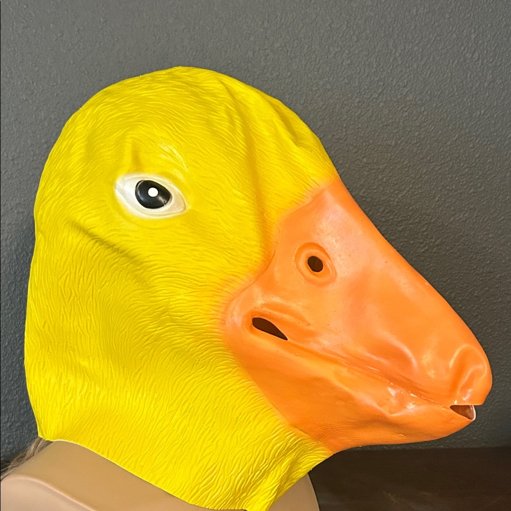 Duck Mask